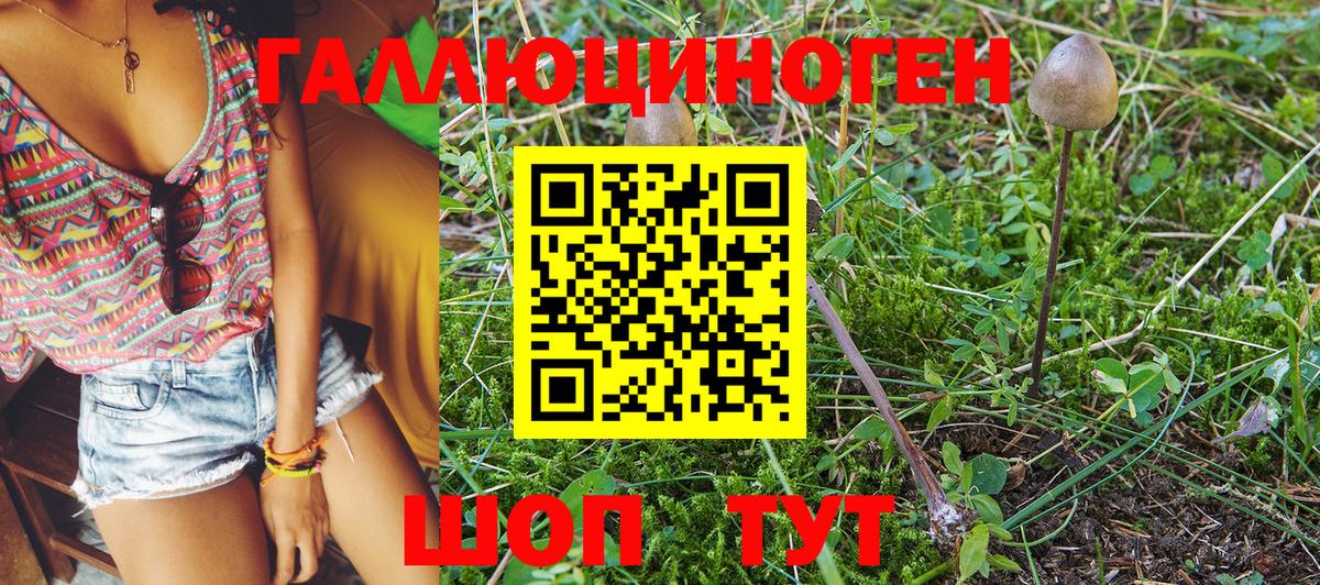 Псилоцибиновые грибы MAGIC MUSHROOMS Чапаевск