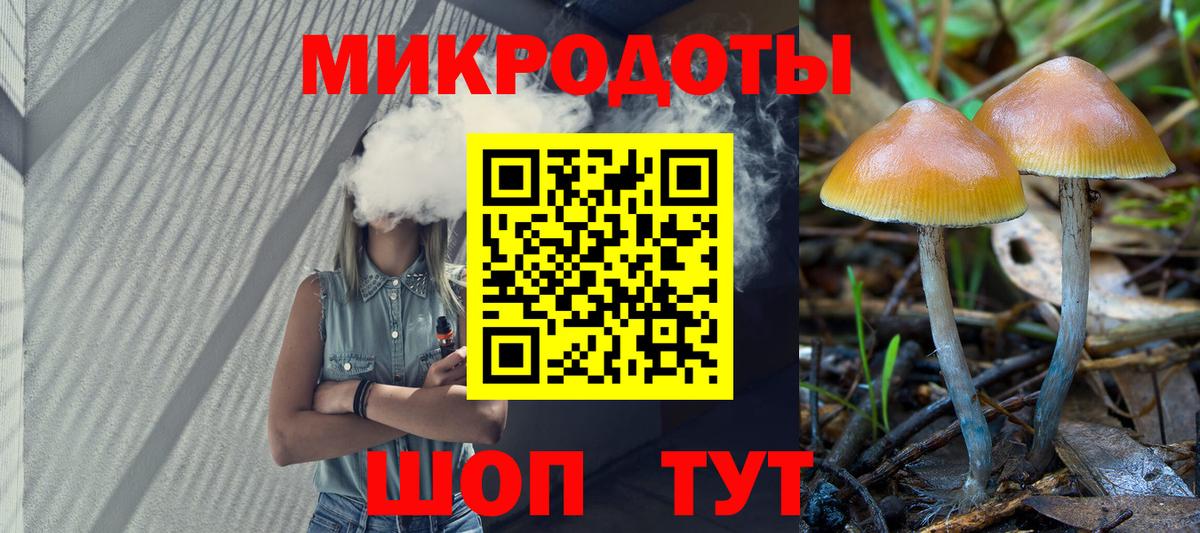 Псилоцибиновые грибы Psilocybe  Вход с VPN  Галлюциногенные грибы MAGIC MUSHROOMS  Чапаевск 